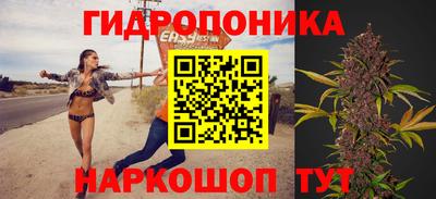 кокс Гагарин