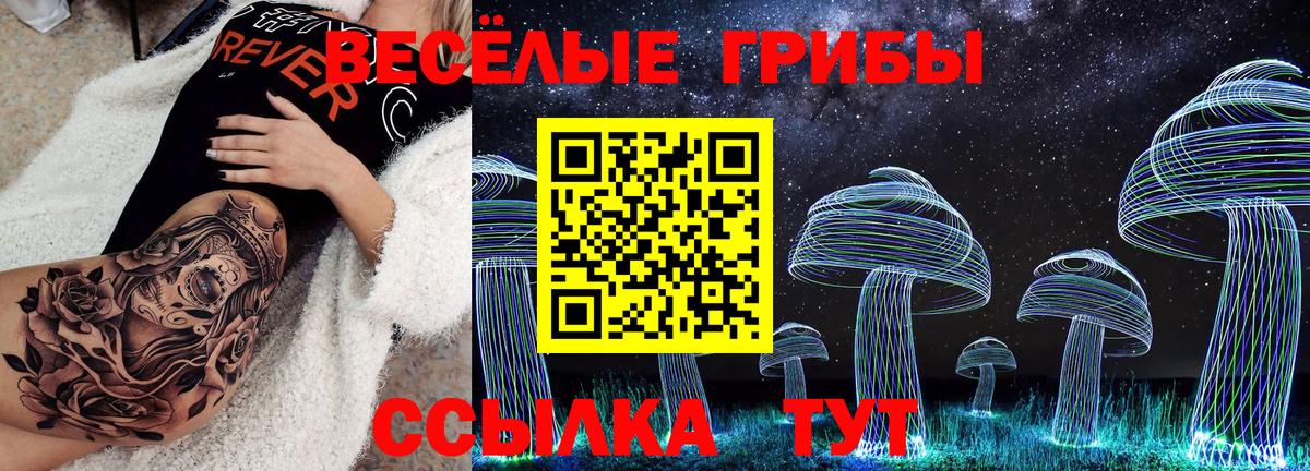Нальчик  наркотики  Вход с VPN  Галлюциногенные грибы мицелий 