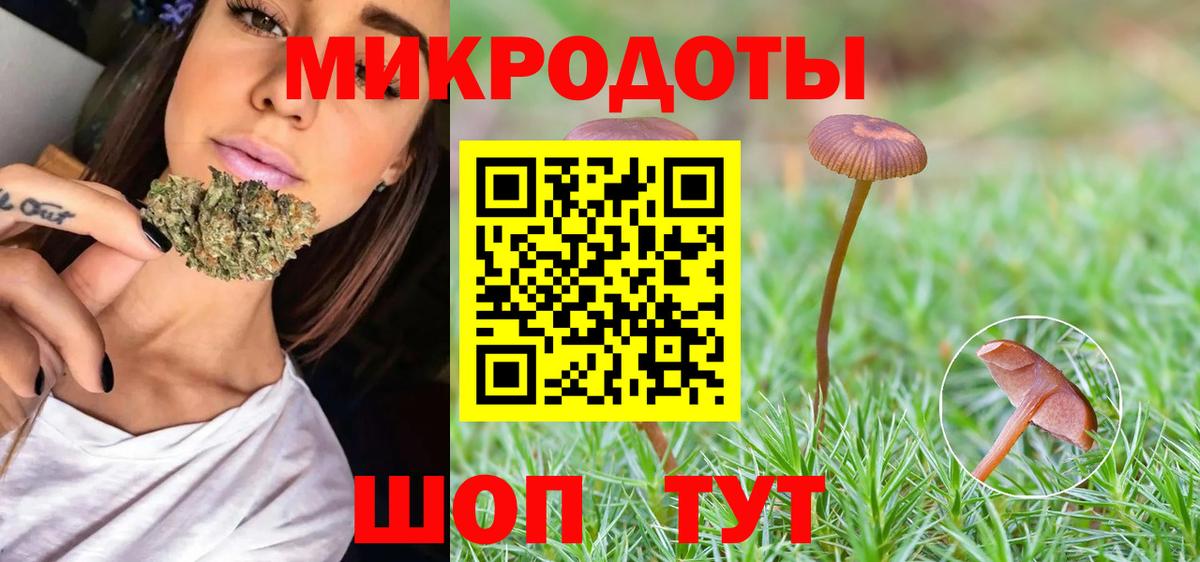 Галлюциногенные грибы Cubensis Нальчик